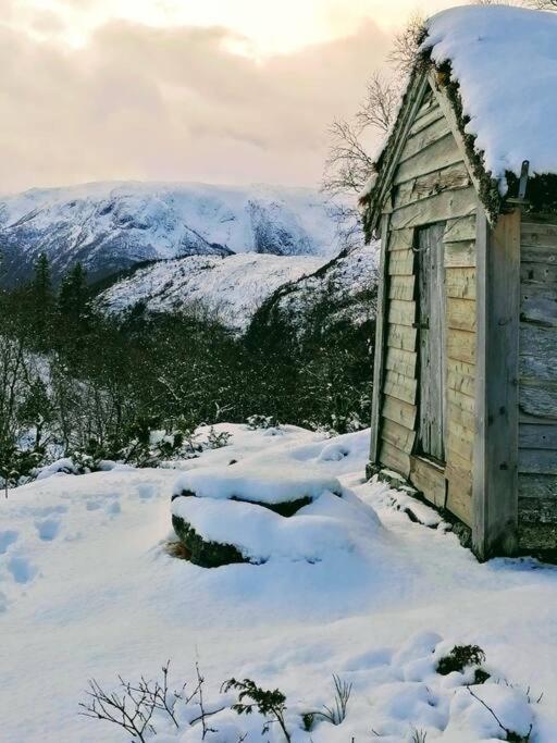 Sognevegen 2242 Apartment Haugsvaer Екстериор снимка