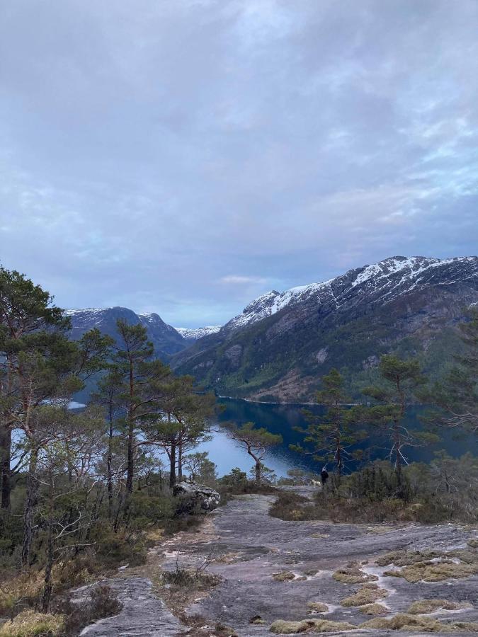 Sognevegen 2242 Apartment Haugsvaer Екстериор снимка