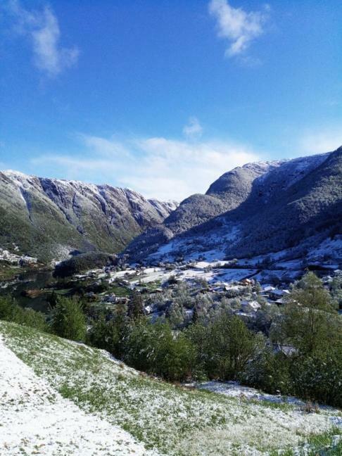 Sognevegen 2242 Apartment Haugsvaer Екстериор снимка