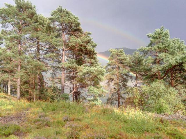 Sognevegen 2242 Apartment Haugsvaer Екстериор снимка